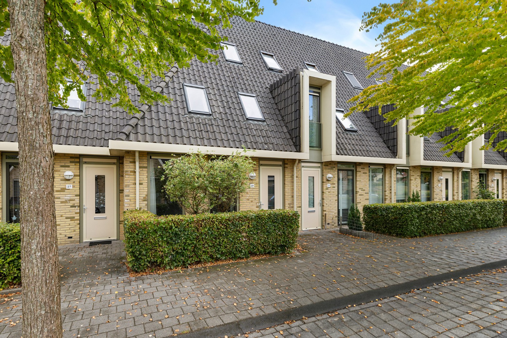 Meerkoetstraat