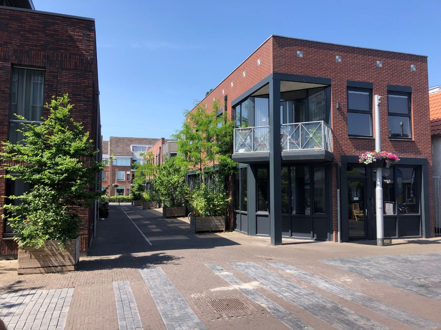 van Riesenstraat