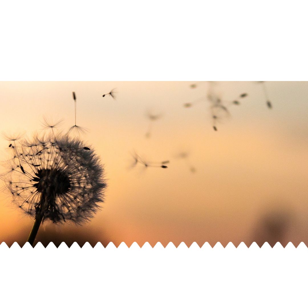 Overlijden verhuurder