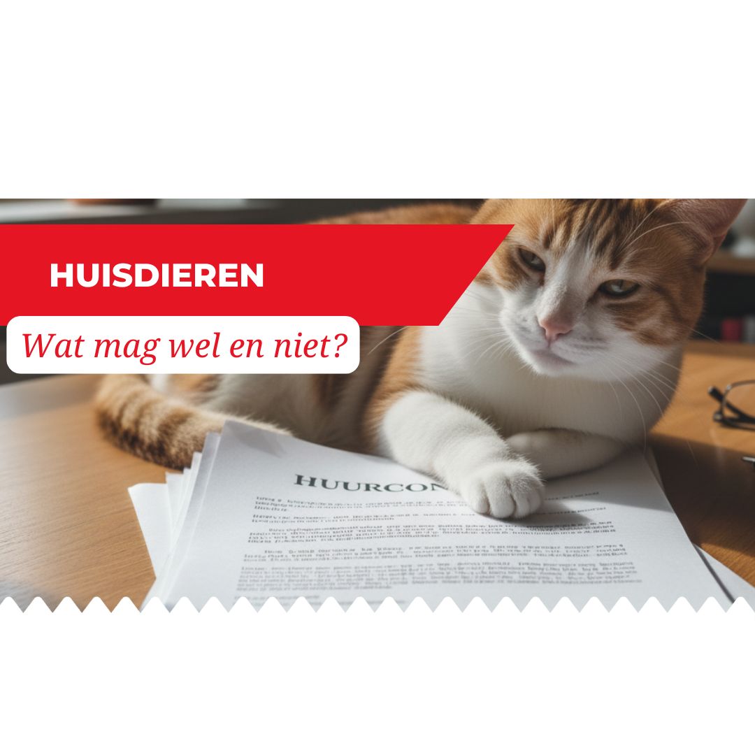 Mijn huurder heeft een huisdier...