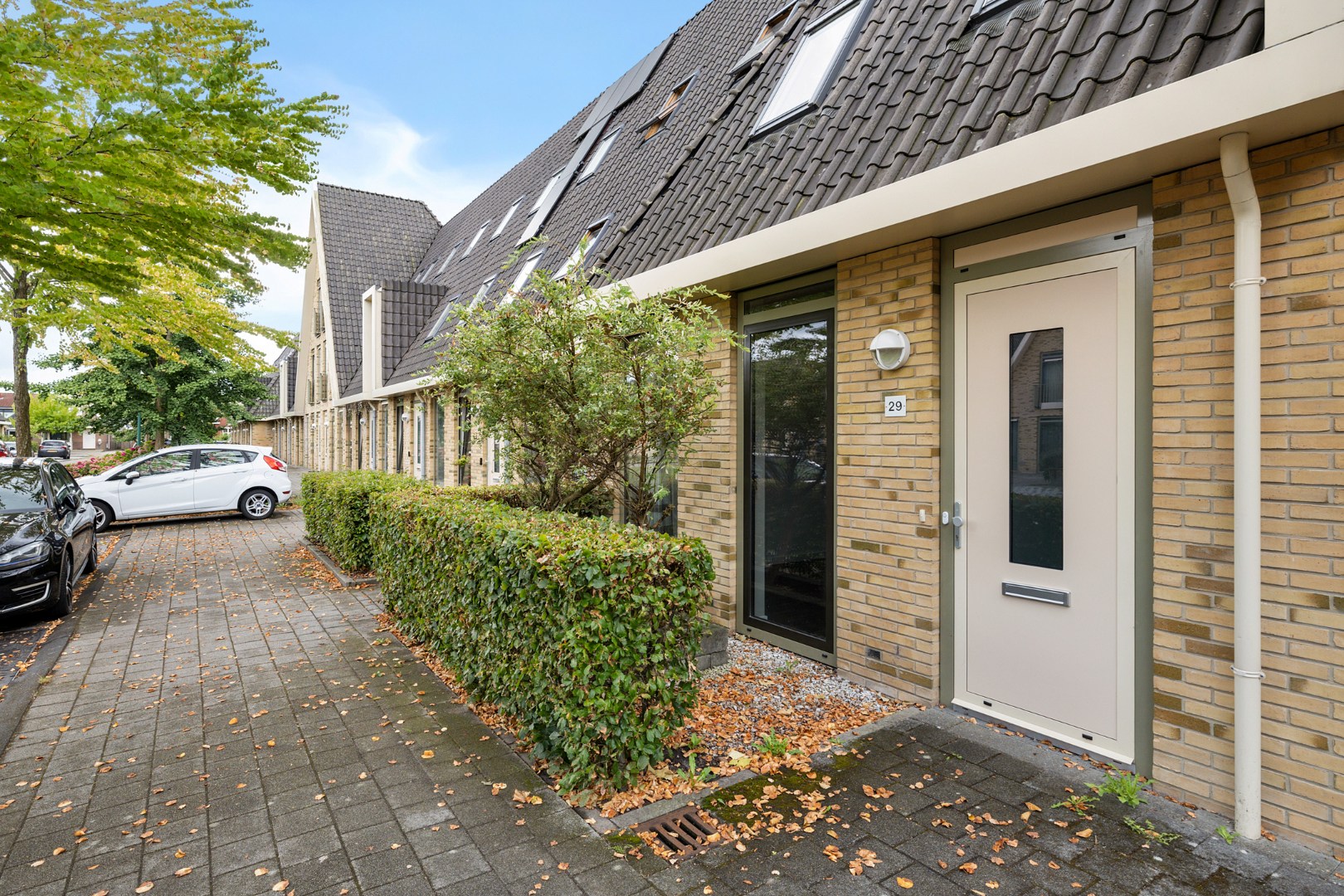 Meerkoetstraat